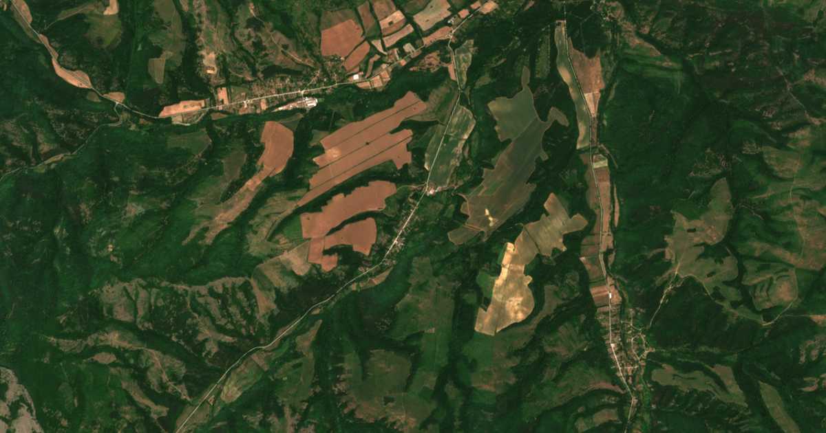 Hartă satelitară: Protopopinți