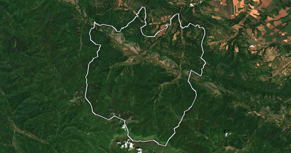 Imagine din satelit cu limita trasată: Ciuprene