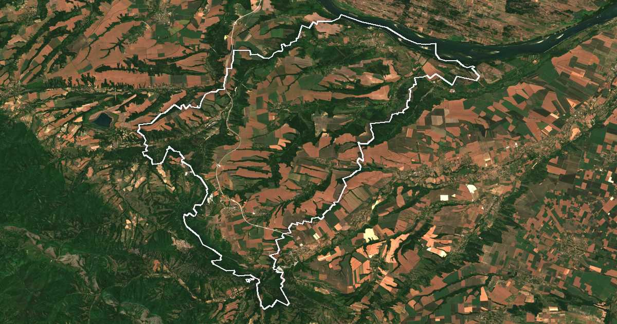 Imagine din satelit cu limita trasată: Dimovo