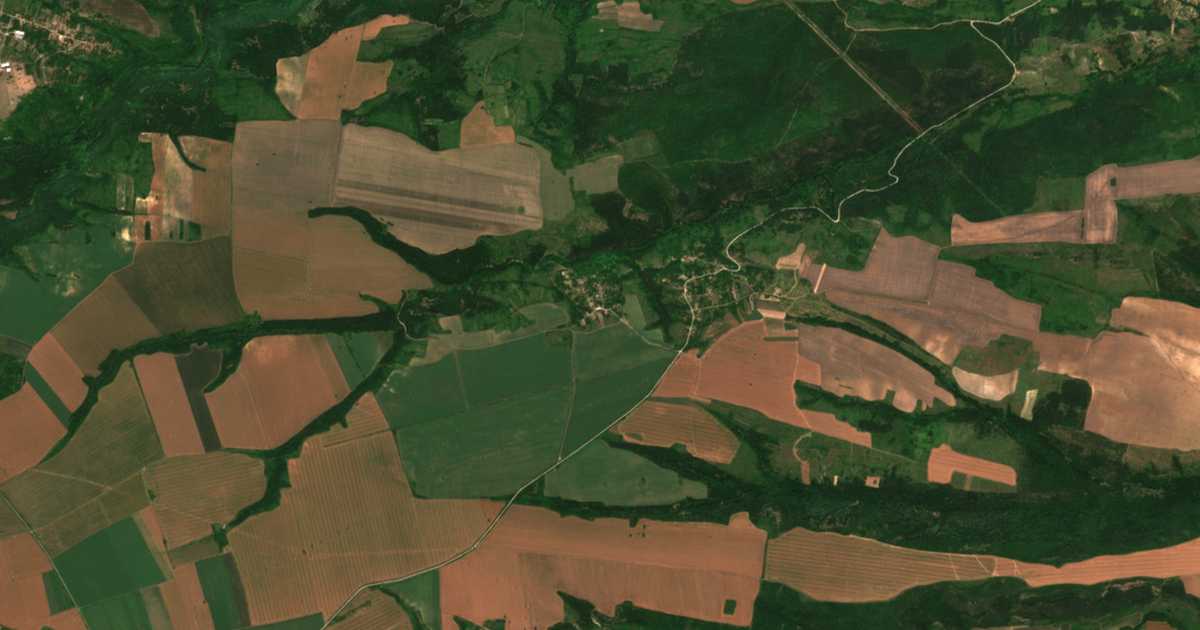 Hartă satelitară: Vladicenți