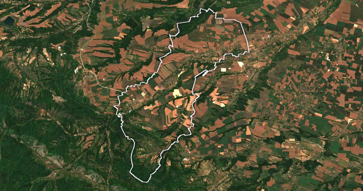 Imagine din satelit cu limita trasată: Rujinți