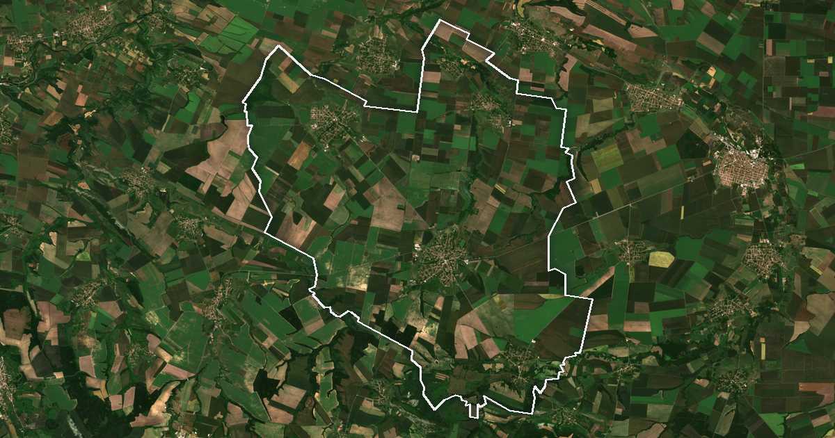 Imagine din satelit cu limita trasată: Borovan