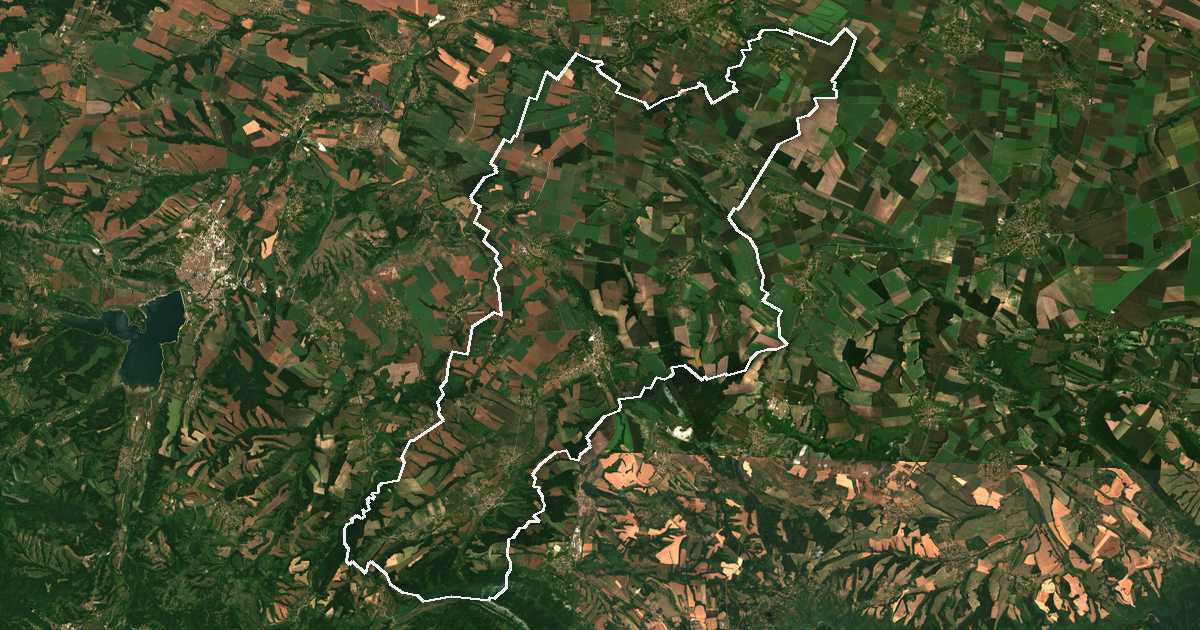 Imagine din satelit cu limita trasată: Krivodol