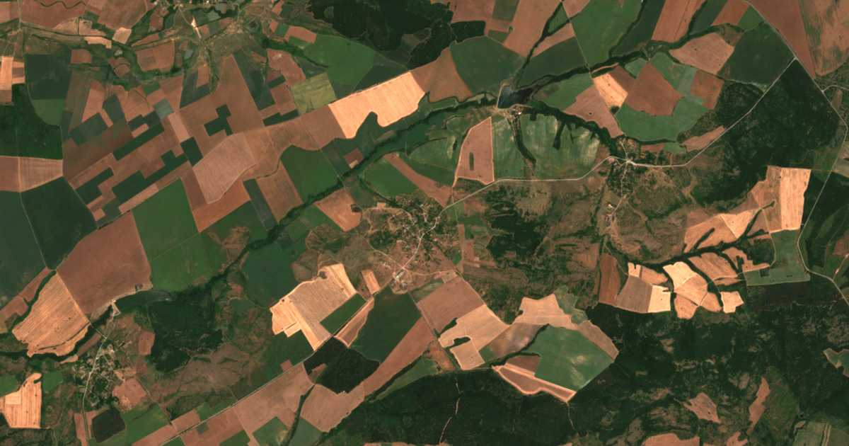 Hartă satelitară: Borisovo