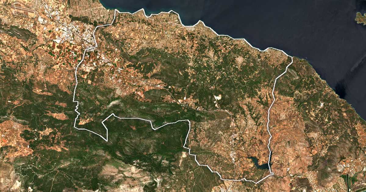 Imagine din satelit cu limita trasată: Dímos Oropoú