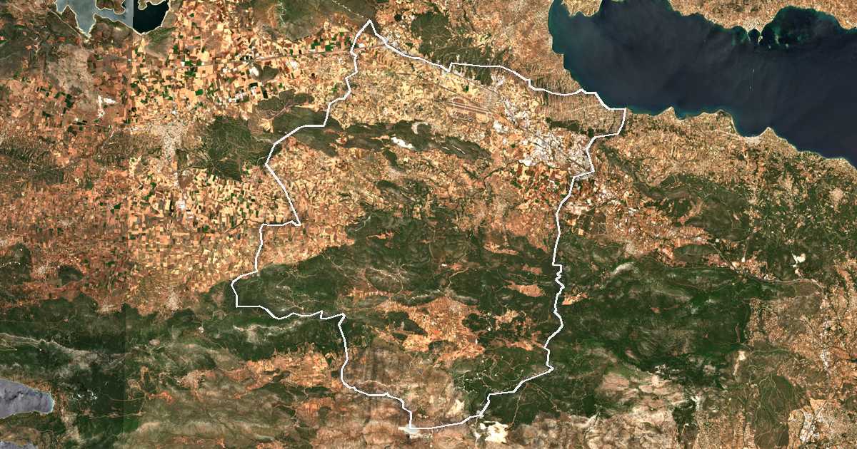 Imagine din satelit cu limita trasată: Dímos Tanágras