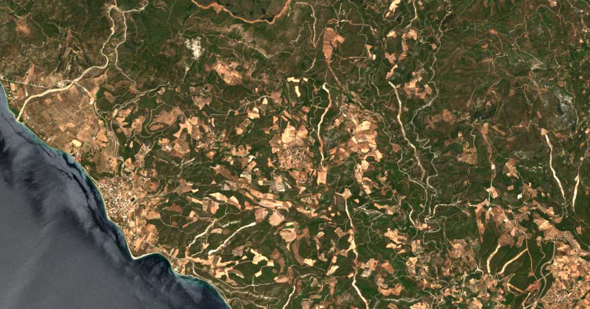 Hartă satelitară: Damiá