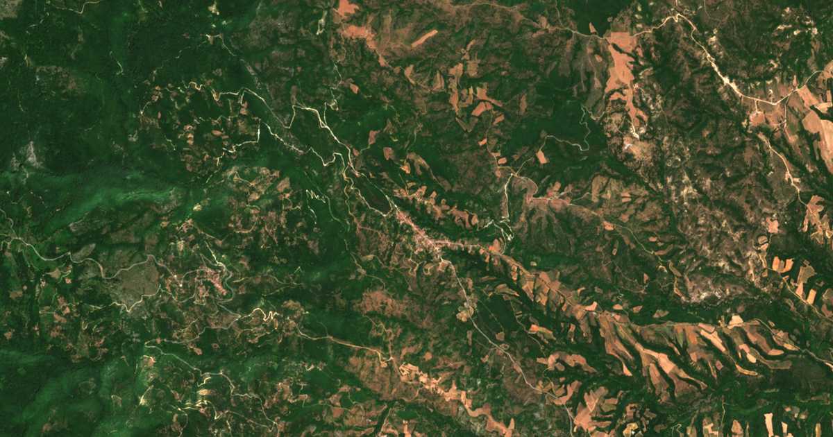 Hartă satelitară: Țârnareca
