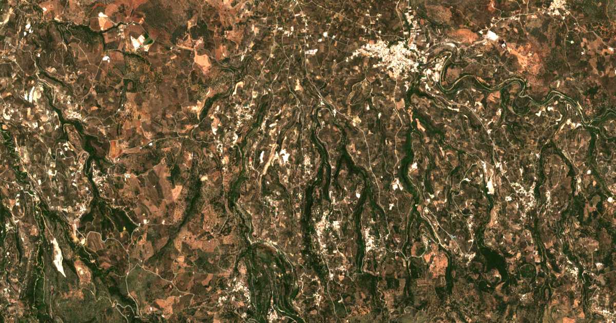 Hartă satelitară: Plevrianá