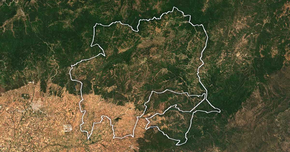 Imagine din satelit cu limita trasată: Municipalitatea Arriana