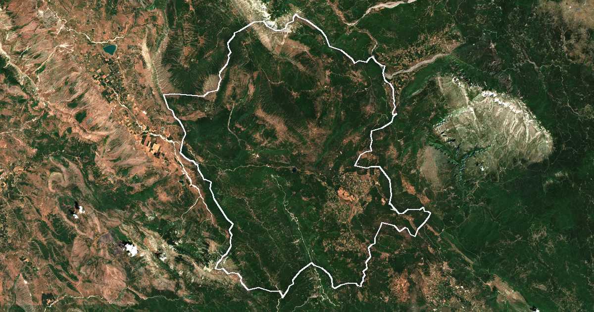 Imagine din satelit cu limita trasată: Dímos Pogoníou