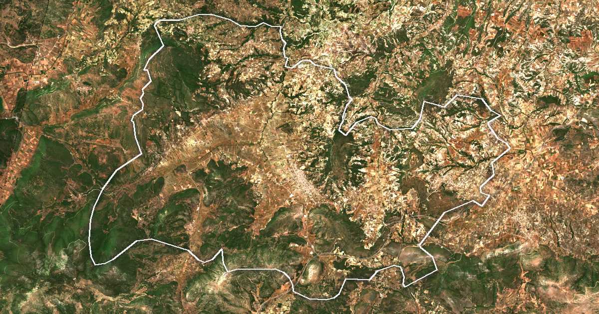Imagine din satelit cu limita trasată: Nea Nemea