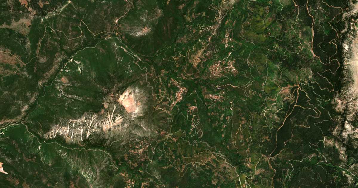 Hartă satelitară: Artemissia
