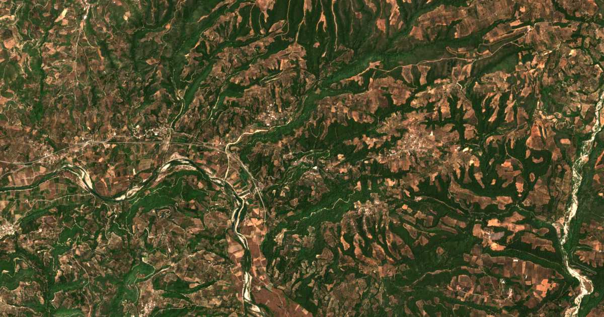 Hartă satelitară: Raches (Elida)