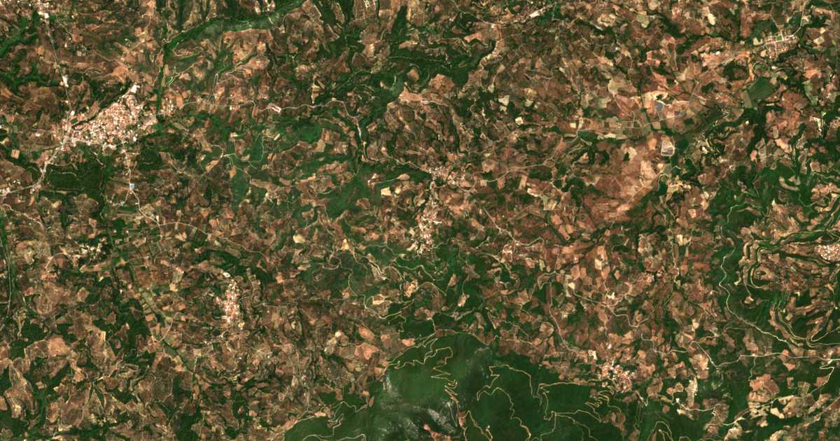Hartă satelitară: Melissa