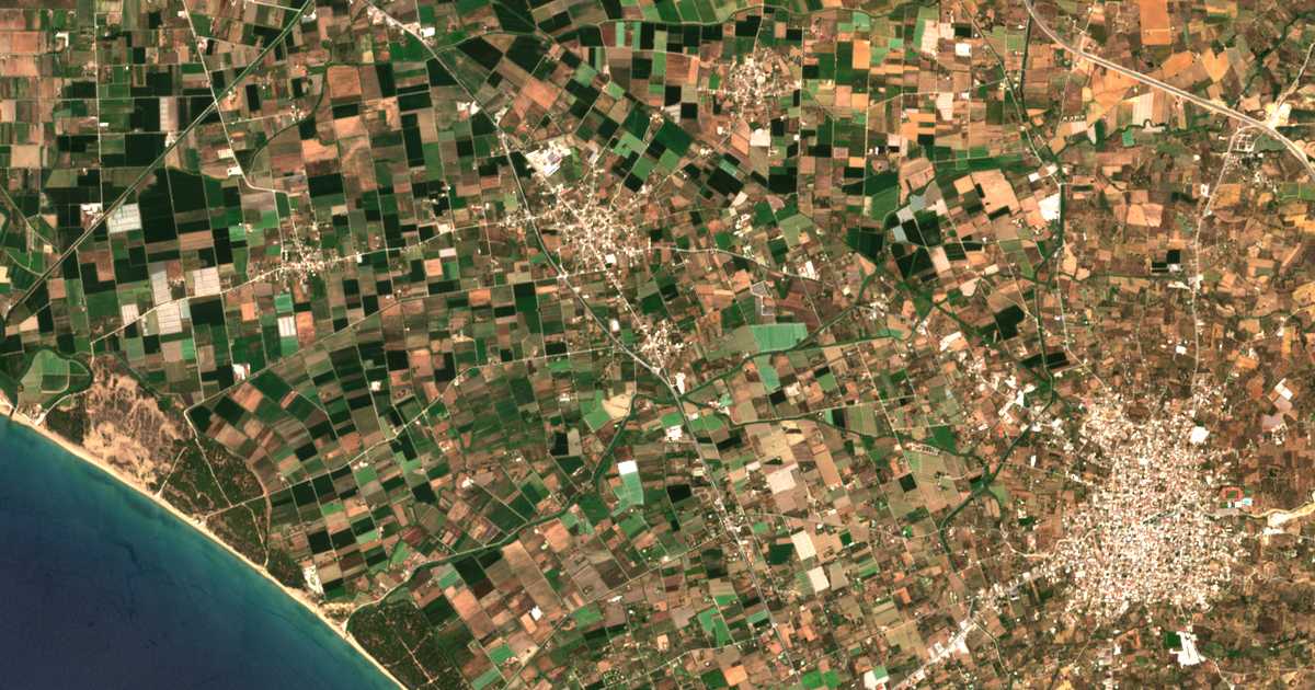 Hartă satelitară: Roviata